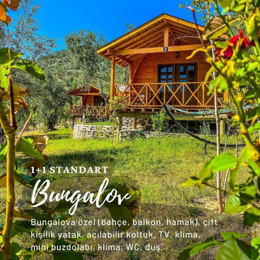 Kazdaglari Saglikli Yasam Koeyue Hotel Edremit  Luaran gambar