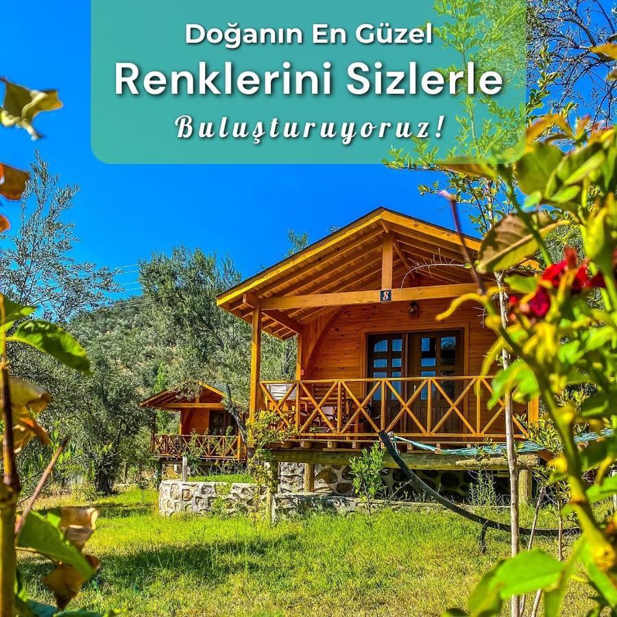Kazdaglari Saglikli Yasam Koeyue Hotel Edremit  Luaran gambar